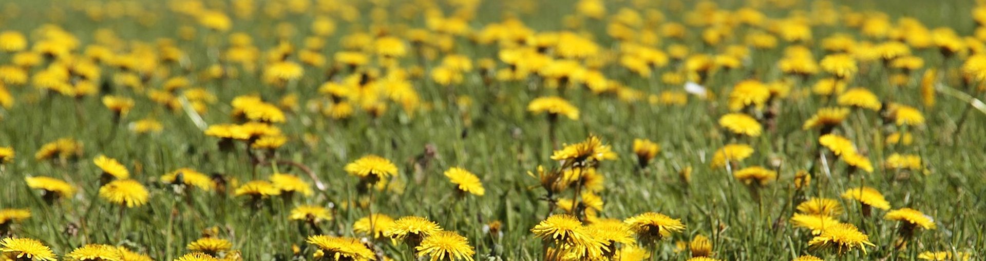 Futurelife-home2-slideshow